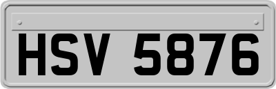 HSV5876
