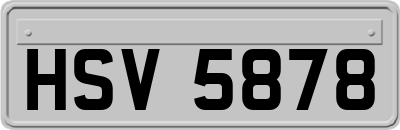 HSV5878