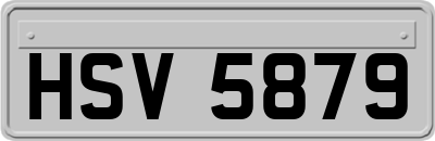 HSV5879