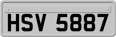 HSV5887