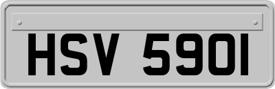 HSV5901