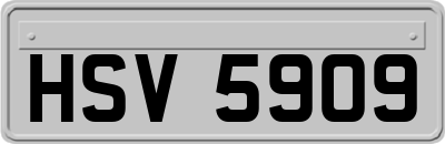 HSV5909