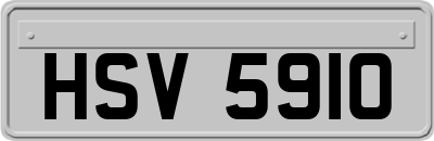 HSV5910