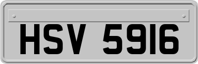 HSV5916