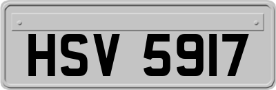 HSV5917