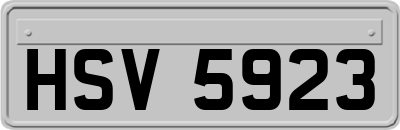 HSV5923