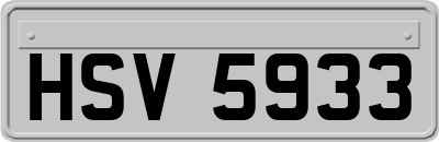HSV5933