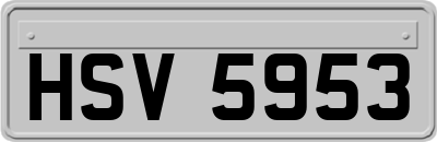 HSV5953