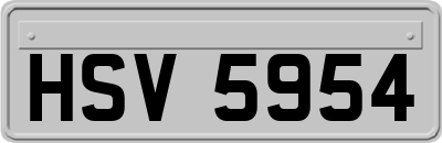 HSV5954