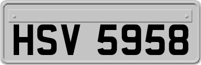 HSV5958