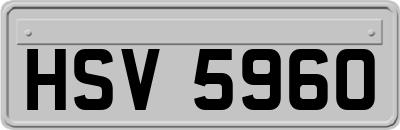HSV5960