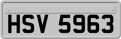 HSV5963