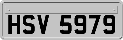 HSV5979
