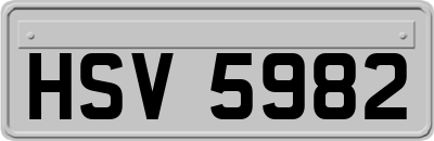 HSV5982