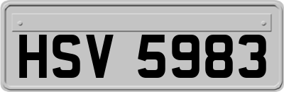 HSV5983