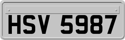 HSV5987