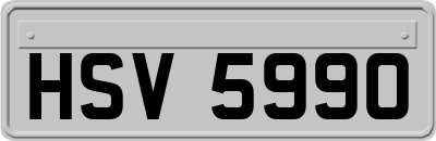 HSV5990