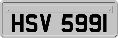 HSV5991