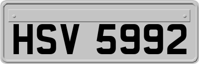 HSV5992