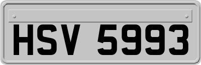 HSV5993