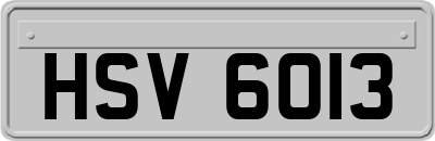 HSV6013