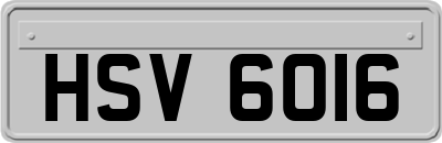 HSV6016