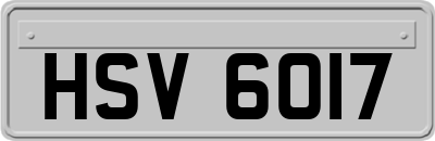 HSV6017
