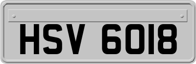 HSV6018