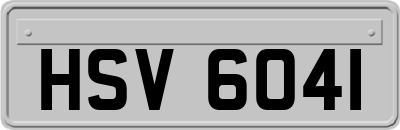 HSV6041