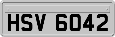 HSV6042