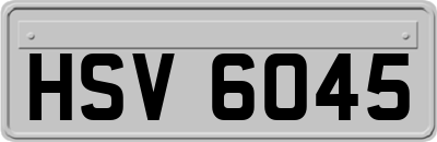 HSV6045