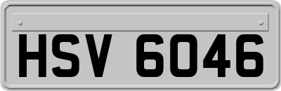 HSV6046
