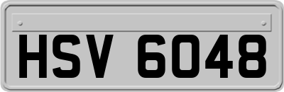 HSV6048