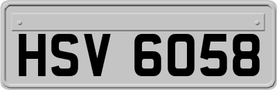 HSV6058