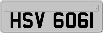 HSV6061