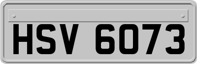 HSV6073