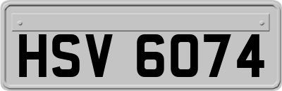 HSV6074