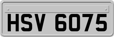 HSV6075