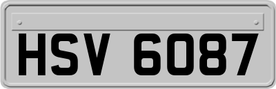 HSV6087