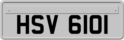 HSV6101