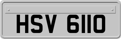 HSV6110