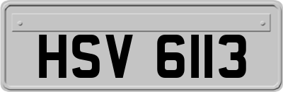 HSV6113