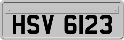 HSV6123
