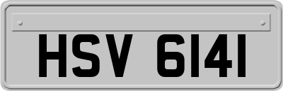 HSV6141