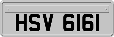 HSV6161