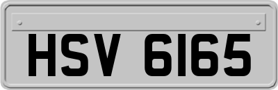 HSV6165