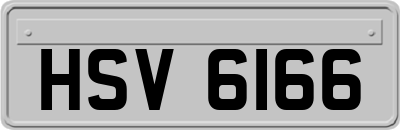 HSV6166