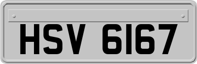 HSV6167
