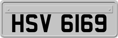 HSV6169