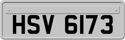 HSV6173